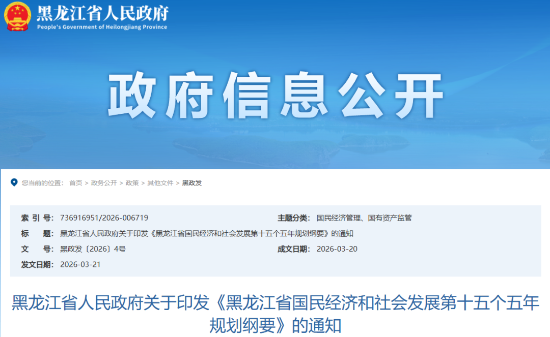 实现年产100万吨绿氢、300万吨绿色液体燃料！黑龙江“十五五”规划纲要出炉