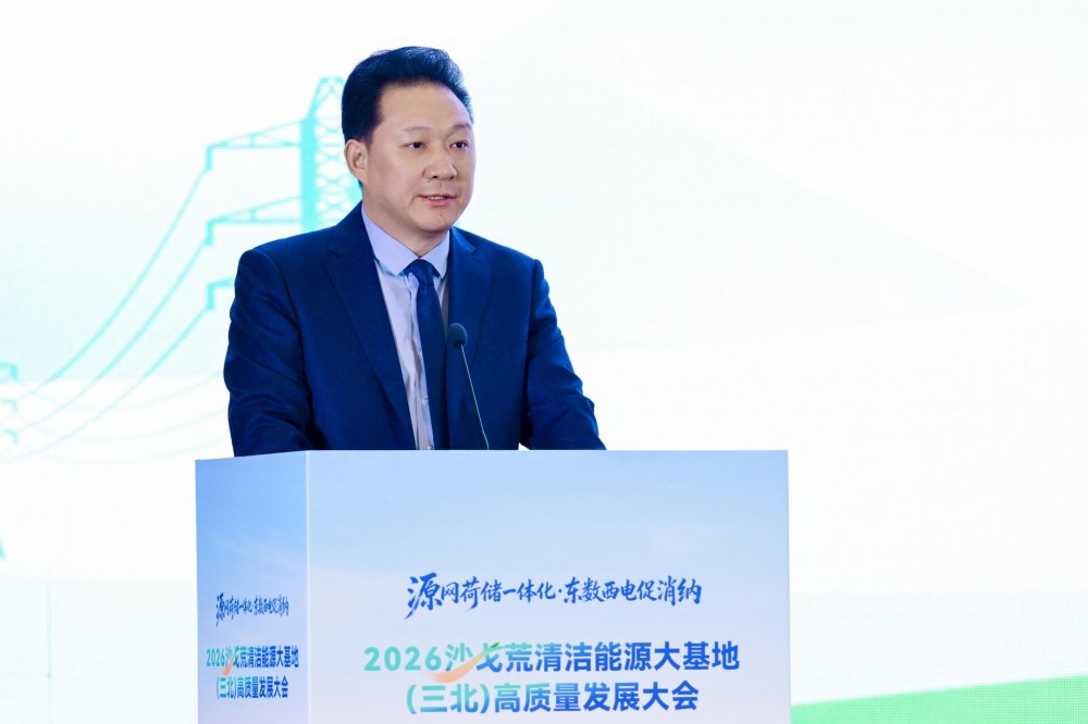 张福龙：强化协同联动，构建节能与绿能融合发展产业生态