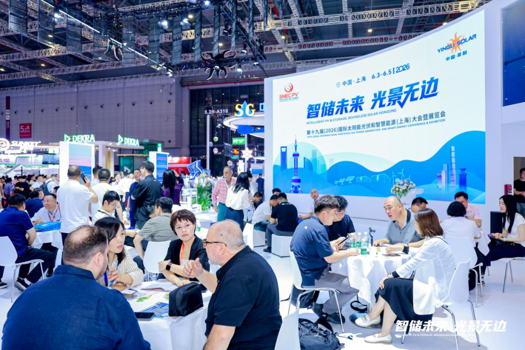 英利构建立体式合作网络 多元市场版图再拓新局