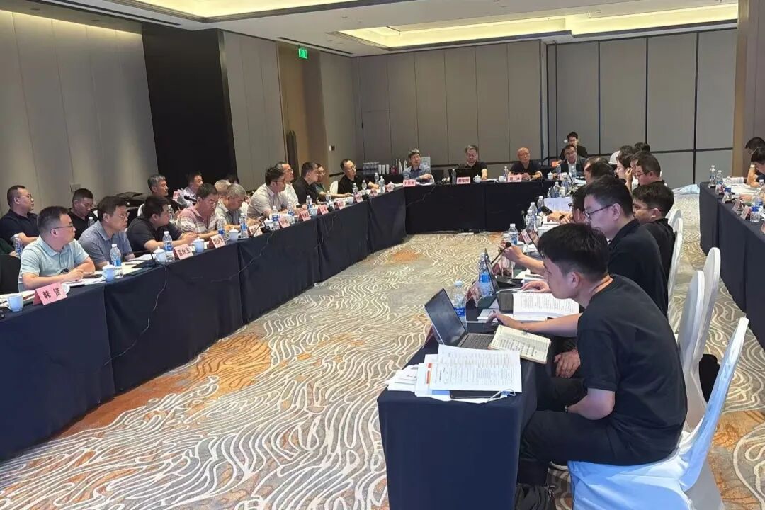 辽水新能抚顺压缩空气储能项目地下储气库初设评审会顺利召开