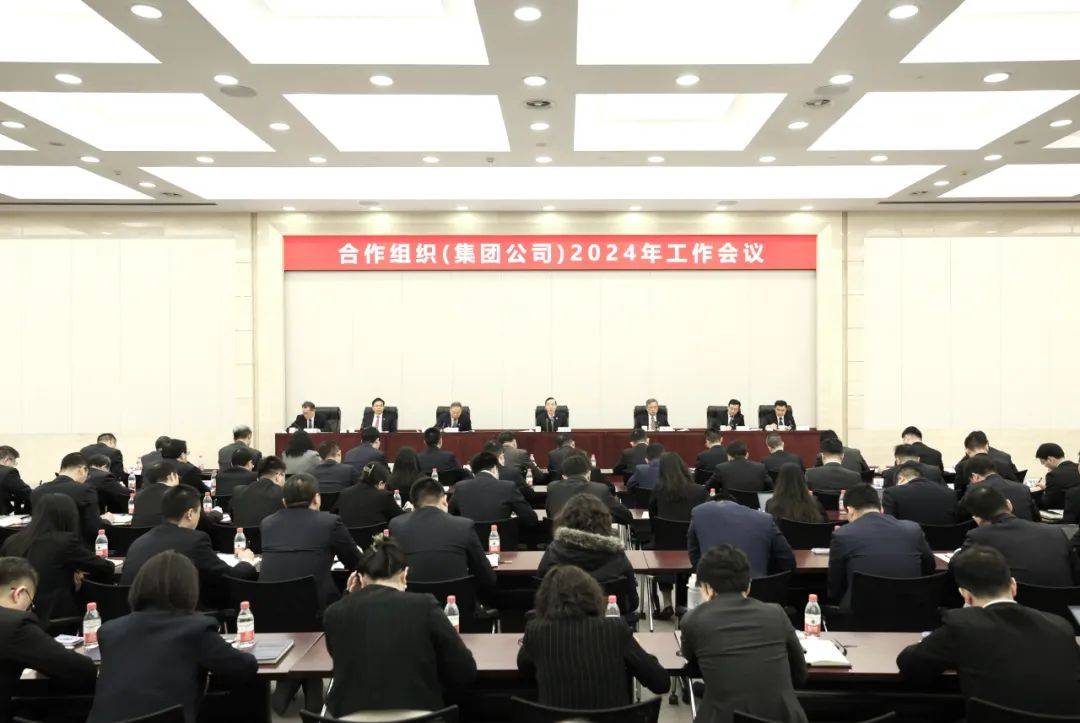 辛保安董事长出席全球能源互联网发展合作组织2024年工作会议并讲话