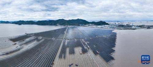 全国首个"核光储多能联合"滩涂光伏项目平稳运行