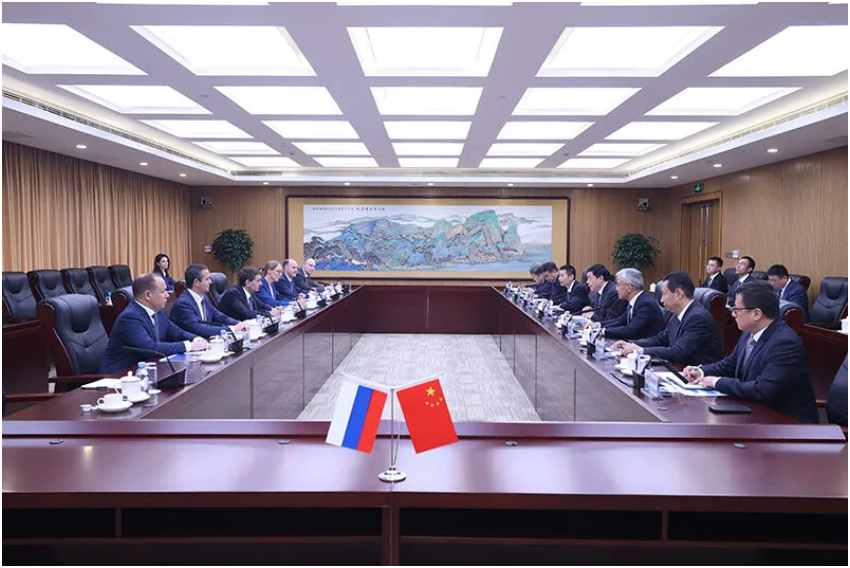 国家电网董事长张智刚与俄罗斯电网公司总裁柳明会谈