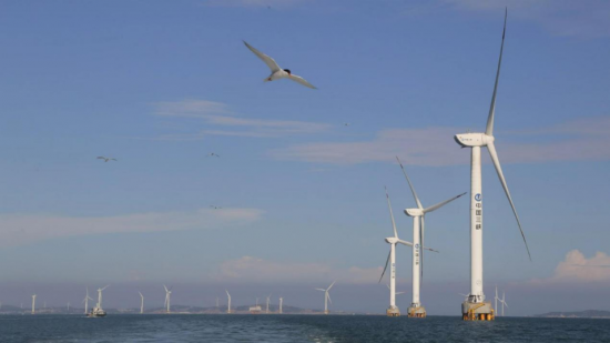 标杆场站！三峡福清兴化湾二期海上风电场榜上有名！