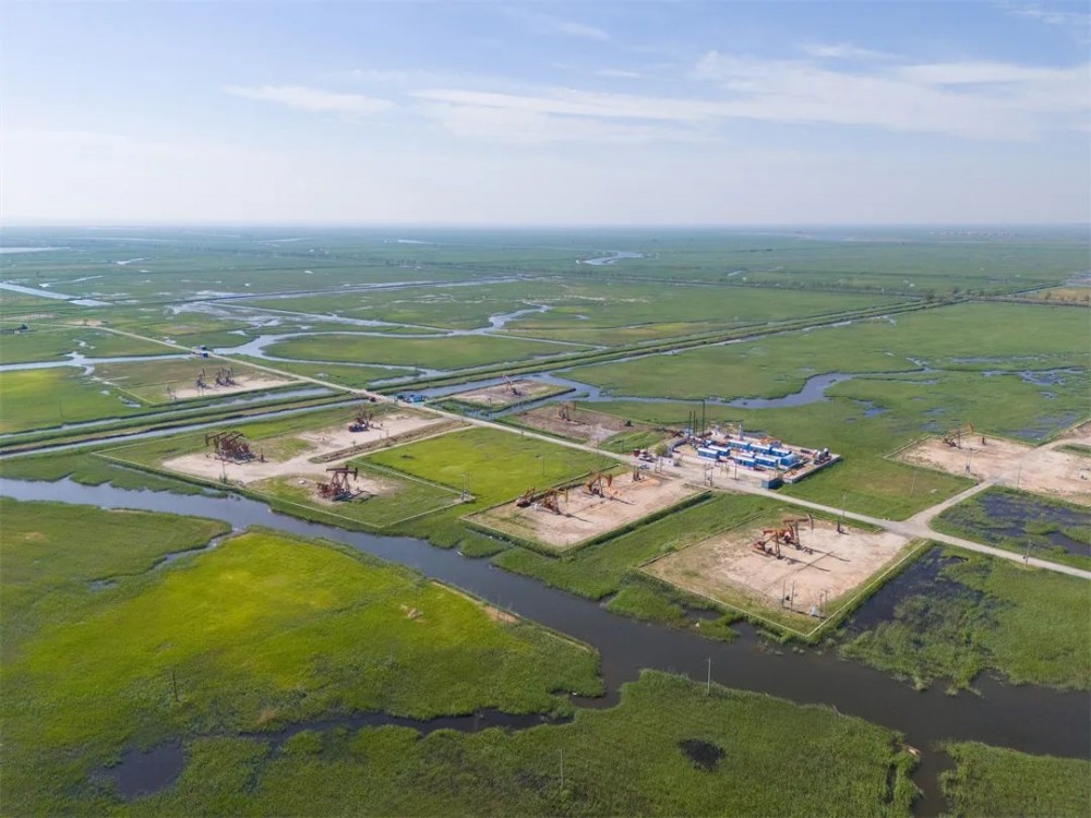 加快推动建设渤海湾能源超级盆地，应该怎么做？