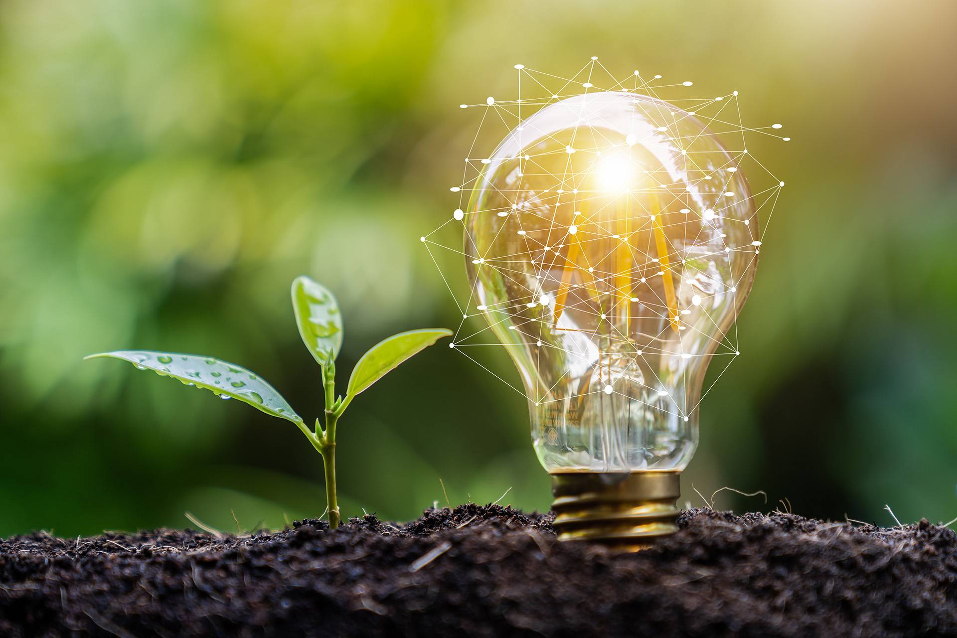 上海：到2025年绿电交易规模达到50亿千瓦时以上