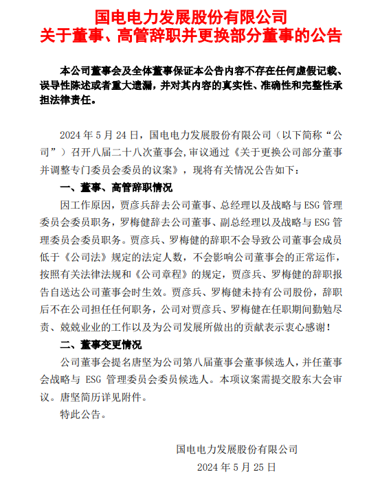 国电电力总经理辞职！