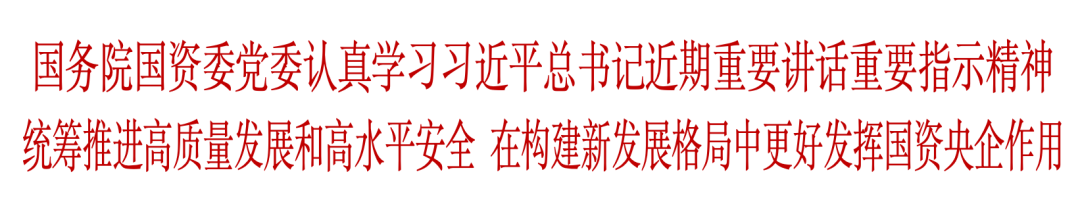 国资委：加快建设清洁低碳能源体系