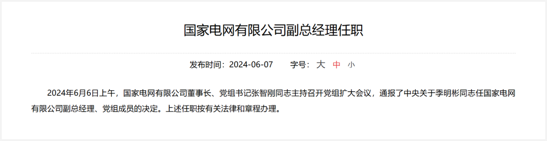 国家电网有限公司副总经理任职