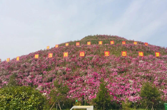 山西焦煤大力推动煤炭产业绿色低碳发展