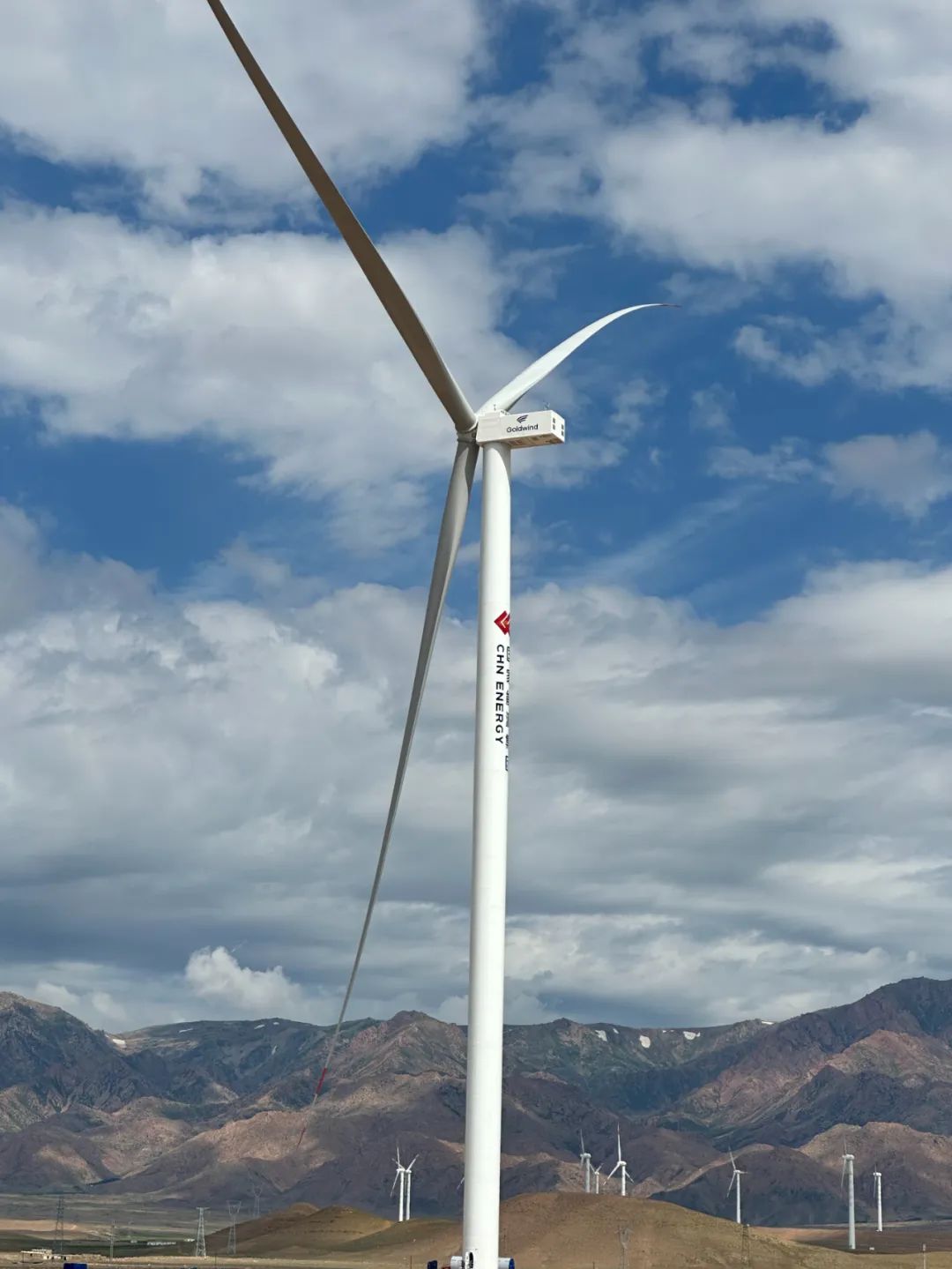 “以大代小”再创纪录！国内首个220米级别陆上批量项目成功吊装