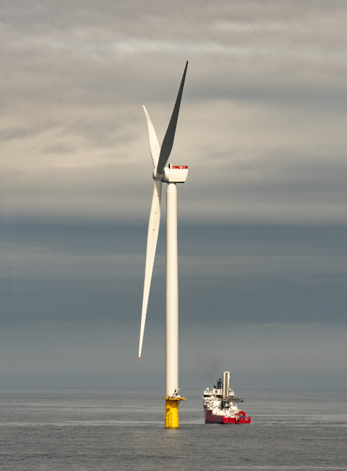 中企参与! 苏格兰海上风电项目并网发电