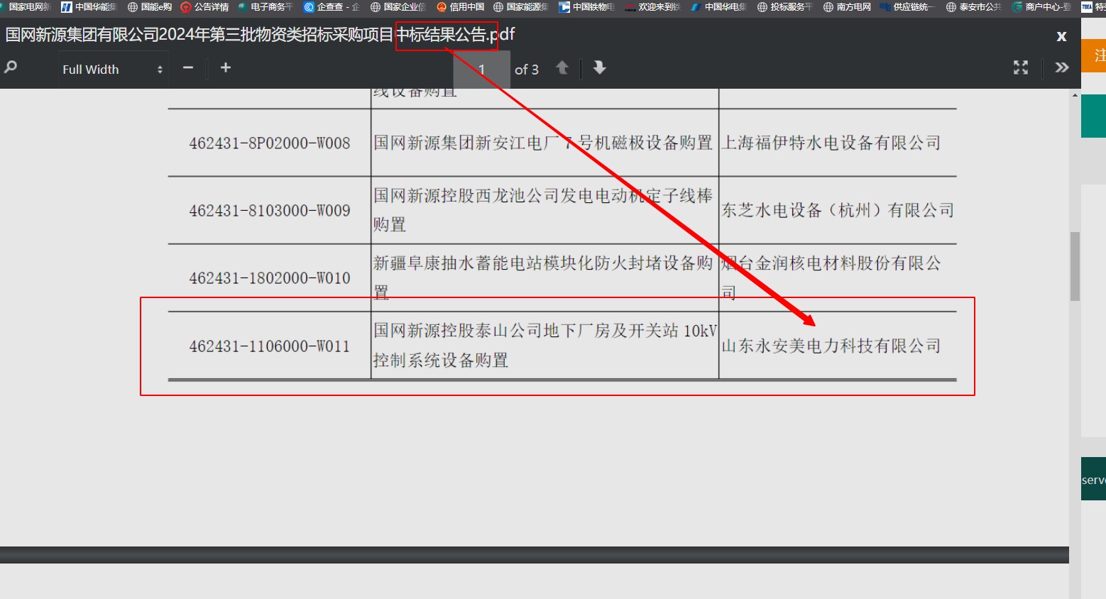 国网新源2024第三批招标揭晓：山东永安美中标