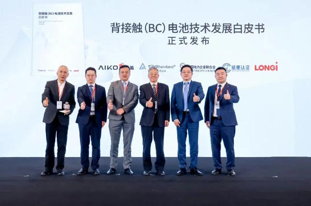 全球首份BC技术发展白皮书发布 为BC产业化提供科学指引