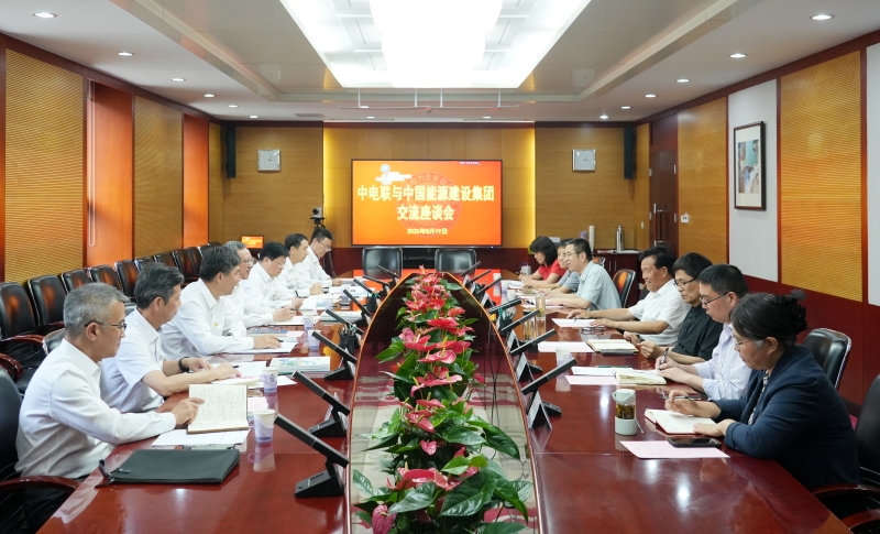 倪真与中电联党委书记、常务副理事长杨昆会谈