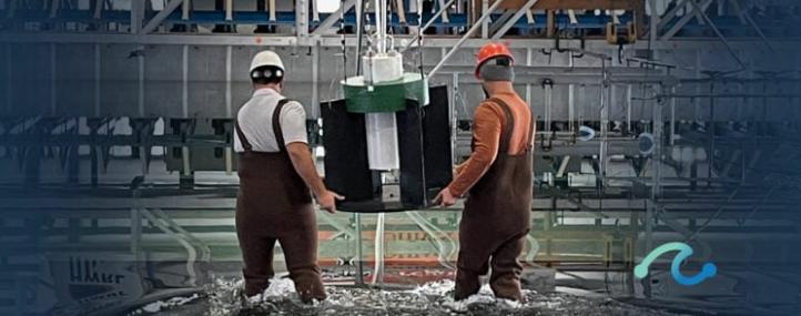 TEAMER计划通过第16次RFTS批准18个海洋能源项目