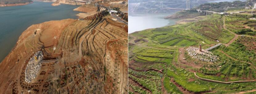 乌东德、白鹤滩水电站库区消落带生态修复一期工程顺利完成阶段验收