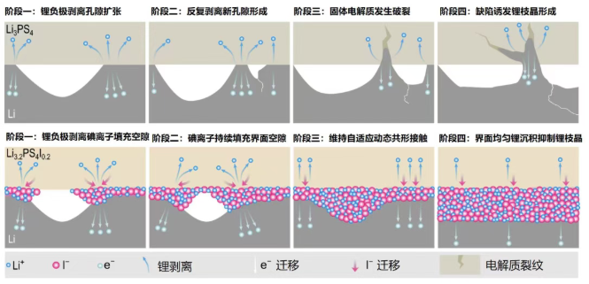 全固态电池界面技术取得突破