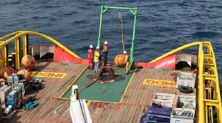 印尼阿巴迪气田完成碳捕集与封存技术研究