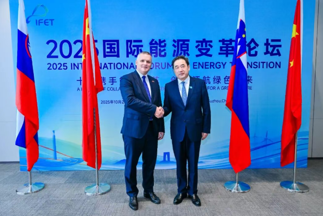 国家能源局主要负责人会见斯洛文尼亚环境、气候和能源部部长