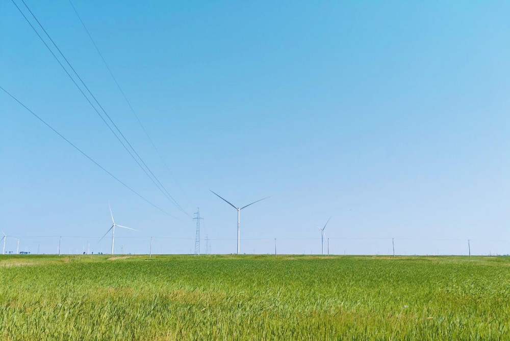 年制绿氢3.2万吨！全球最大单体绿氨装置配套风电项目全容量并网