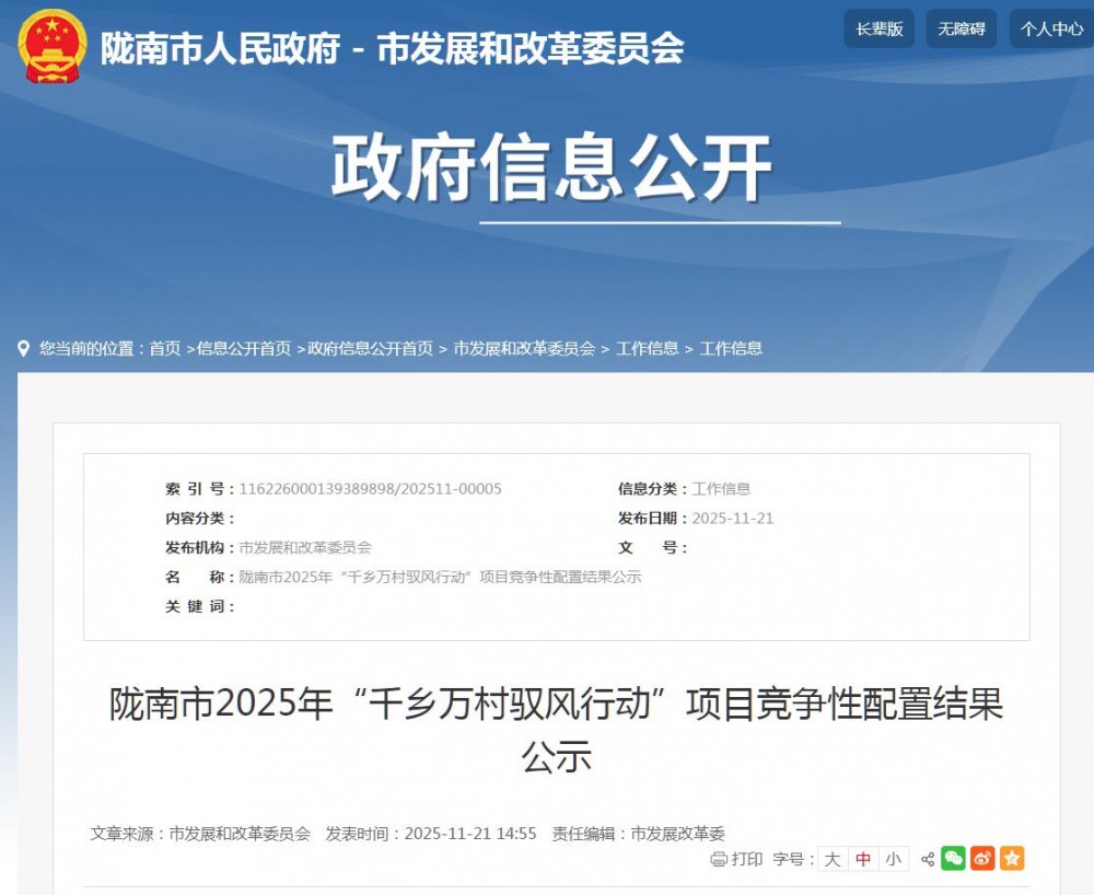 大唐中选甘肃陇南市200MW“驭风行动”项目