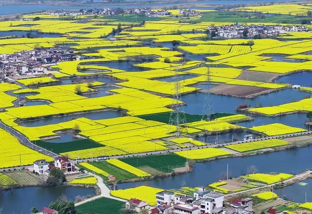 安徽芜湖首个“风光储充”一体化微电网工程投运