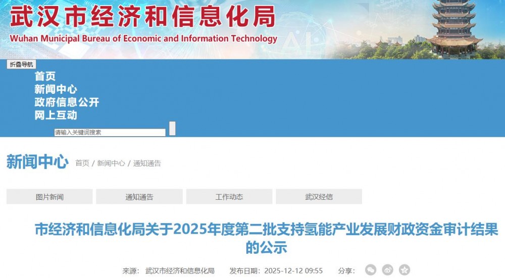 武汉市经济和信息化局关于2025年度第二批支持氢能产业发展财政资金审计结果的公示