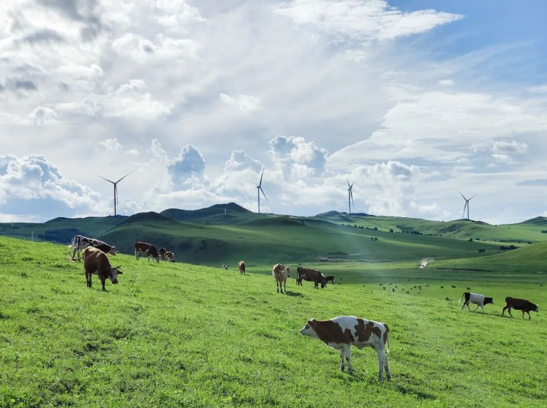 中广核国内风电、光伏等新能源在运装机突破7000万千瓦