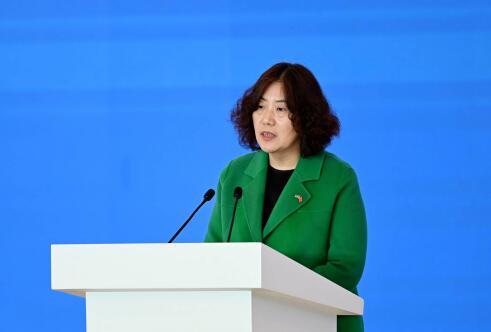 驻阿塞拜疆大使鲁梅出席中资企业承建的风电项目竣工仪式