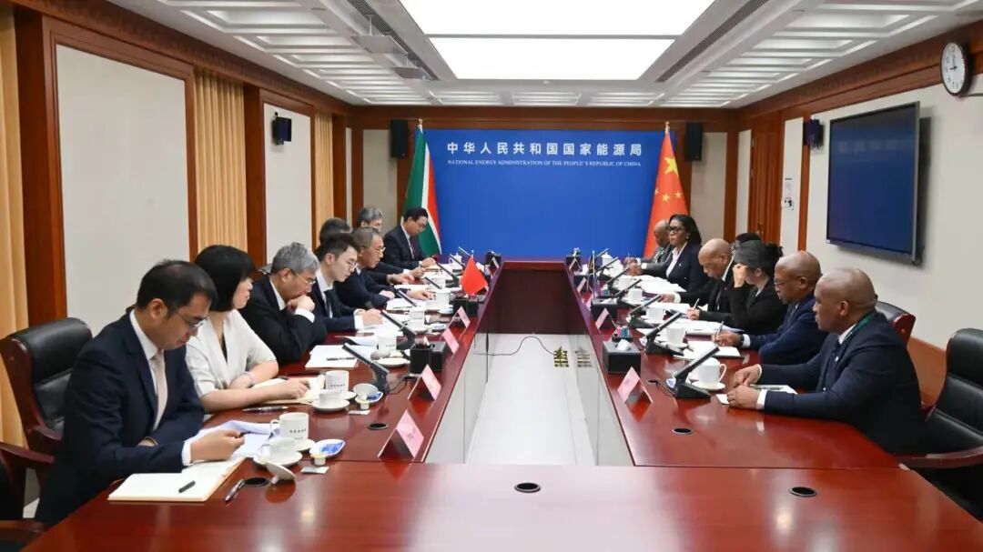 国家能源局负责人会见南非电力和能源部部长