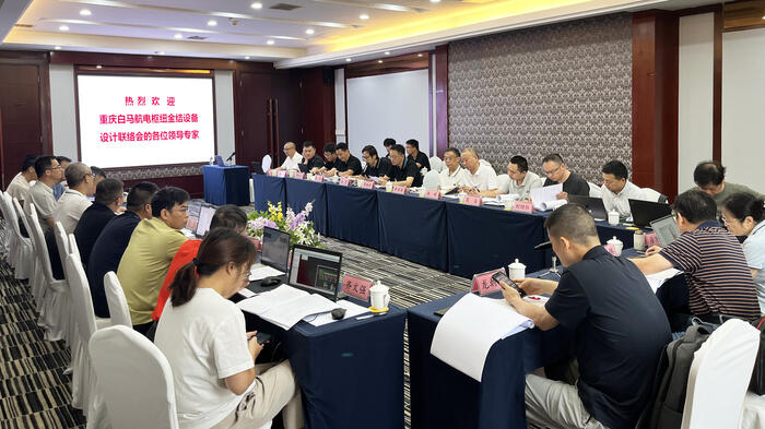 重庆在建规模最大水电项目设备通过首次设计审查