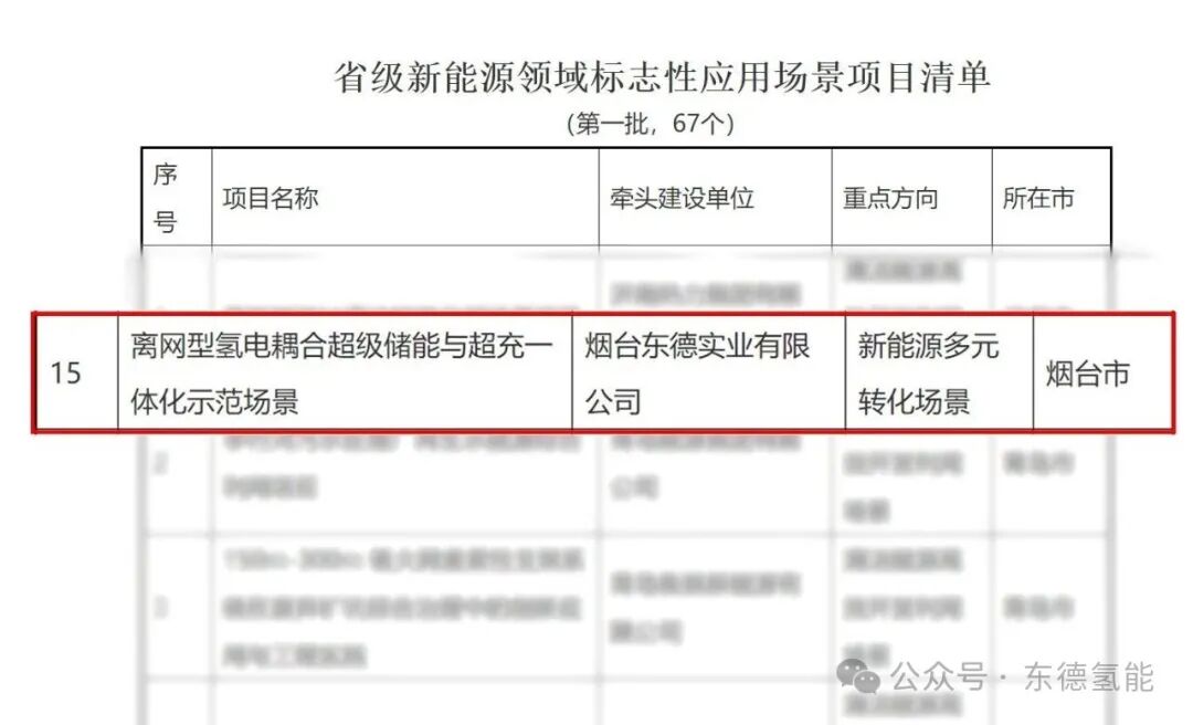 喜报！东德离网超级氢电站入选山东新能源标志性应用场景项目
