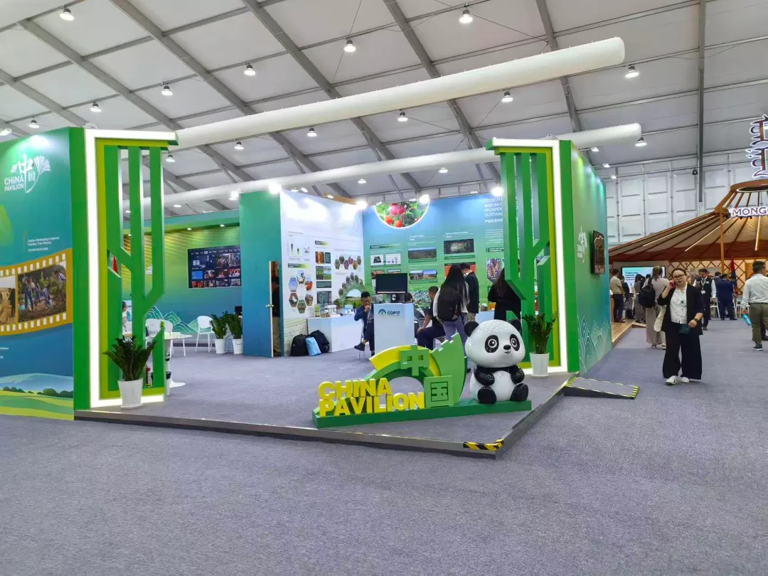 “光伏赋能土地与人民：荒漠地区离网光伏赋能民众”边会在UNCCD COP17中国角成功举办